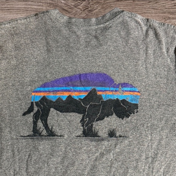 Patagonia Heather Gray Men's Short Sleeve Tee - Picture 5 of 6